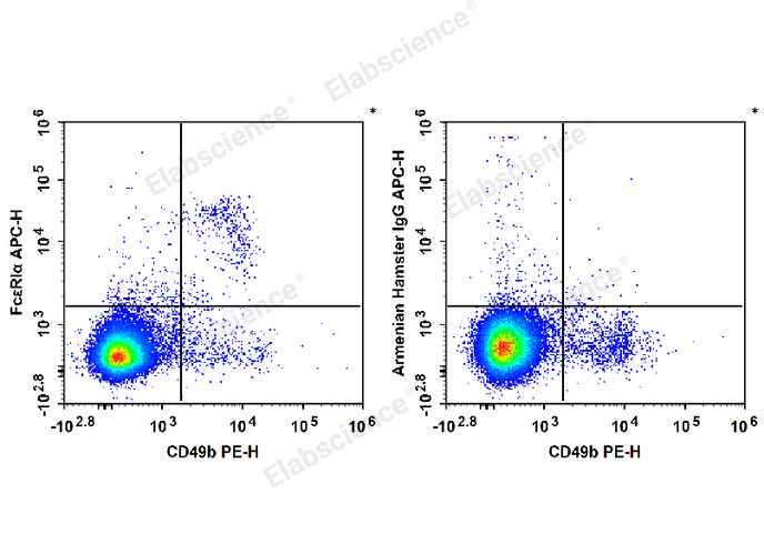 C57BL/6 murine bone marrow cells are stained with PE Anti-Mouse CD49b Antibody and APC Anti-Mouse FcεRIα Antibody (Left). Bone marrow cells are stained with PE Anti-Mouse CD49b Antibody and APC Armenian Hamster IgG Isotype Control (Right).