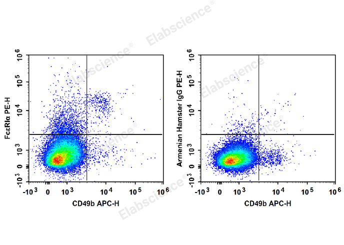 C57BL/6 murine bone marrow cells are stained with APC Anti-Mouse CD49b Antibody and PE Anti-Mouse FcεRIα Antibody (Left). Bone marrow cells stained with APC Anti-Mouse CD49b Antibody and PE Armenian Hamster IgG Isotype Control (Right) are used as control.