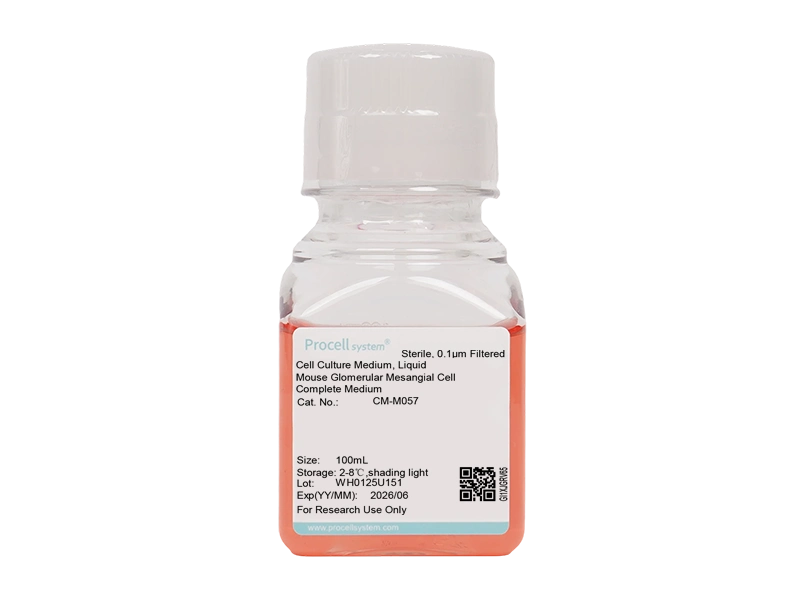Mouse Glomerular Mesangial Cell Complete Medium