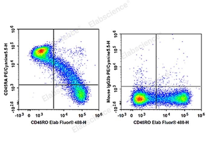 Human peripheral blood lymphocytes are stained with Elab Fluor® 488 Anti-Human CD45RO Antibody and PE/Cyanine5.5 Anti-Human CD45RA Antibody (Left). Lymphocytes are stained with Elab Fluor® 488 Anti-Human CD45RO Antibody and PE/Cyanine5.5 Mouse IgG2b, κ Isotype Control (Right).