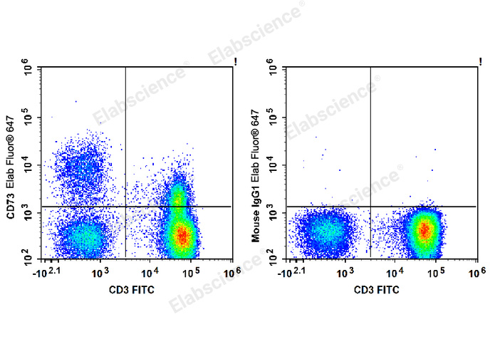 Human peripheral blood lymphocytes are stained with Elab Fluor® 647 Anti-Human CD73 Antibody and FITC Anti-Human CD3 Antibody (Left). Lymphocytes stained with FITC Anti-Human CD3 Antibody and Elab Fluor® 647 Mouse IgG1, κ Isotype Control (Right) are used as control.