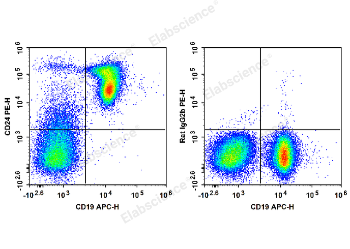 C57BL/6 murine splenocytes are stained with APC Anti-Mouse CD19 Antibody and PE Anti-Mouse CD24 Antibody (Left). Splenocytes are stained with APC Anti-Mouse CD19 Antibody and PE Rat IgG2b, κ Isotype Control (Right).