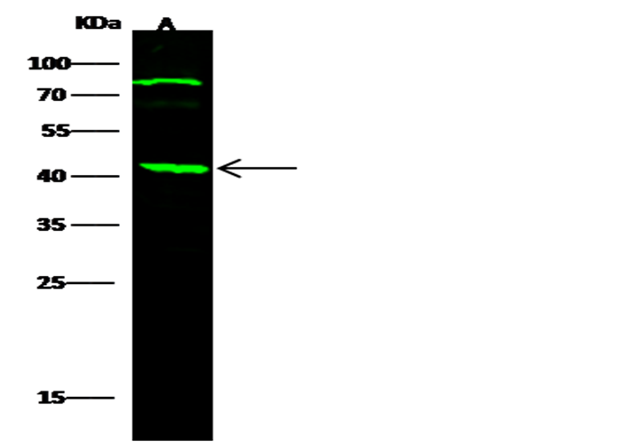 loading