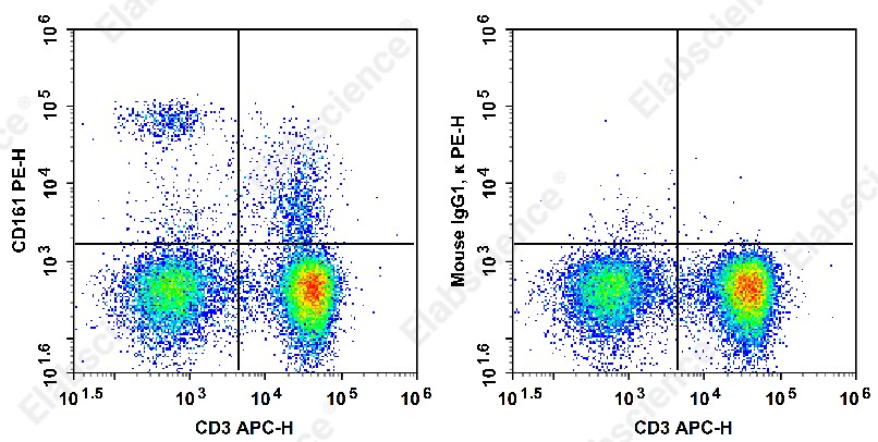 PE Anti-Rat CD161 Antibody[QA19A15] - 1