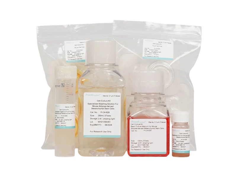 Rat Adipose-Derived Mesenchymal Stem Cell Isolation and Culture KitRat Adipose-Derived Mesenchymal Stem Cell Isolation and Culture Kit - 1