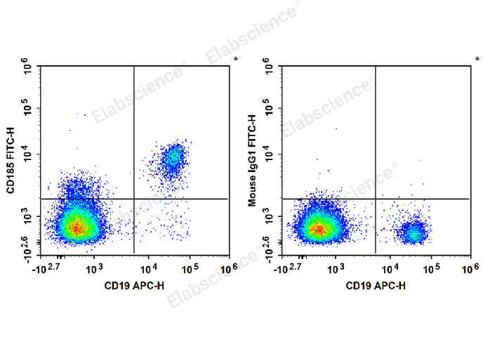 Human peripheral blood lymphocytes are stained with APC Anti-Human CD19 Antibody and FITC Anti-Human CD185/CXCR5 Antibody (Left). Lymphocytes are stained with APC Anti-Human CD19 Antibody and FITC Mouse IgG1,κ Isotype Control (Right).