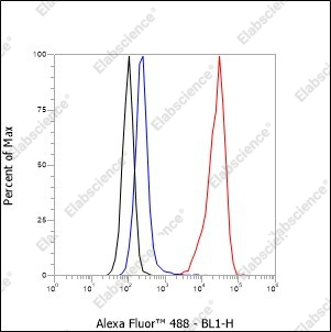 Recombinant TCL1 Monoclonal Antibody - 7