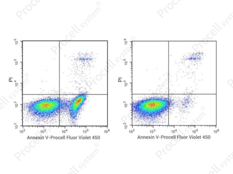 Annexin V-Procell Fluor Violet 450 Azide-Free Lyophilized Powder