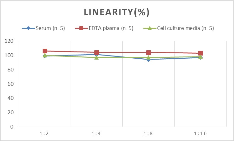 High Sensitivity Rat TNF-α(Tumor Necrosis Factor Alpha) ELISA Kit-产品推荐-4