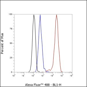 Recombinant ARPC5/p16 ARC Monoclonal Antibody - small - 5