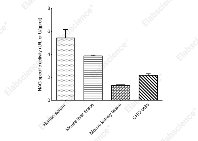β-N-Acetylglucosaminidase (NAG) Activity Assay Kit - 2