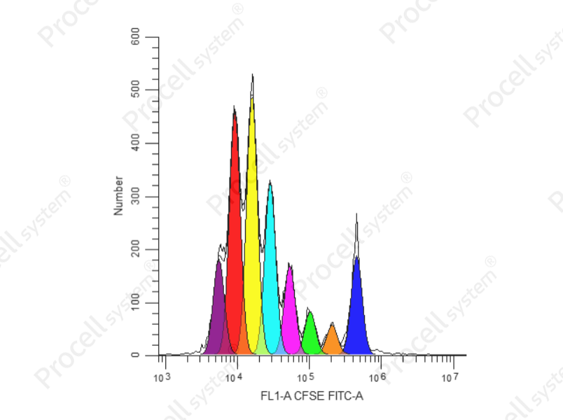 CFSE Cell Division Tracker Kit