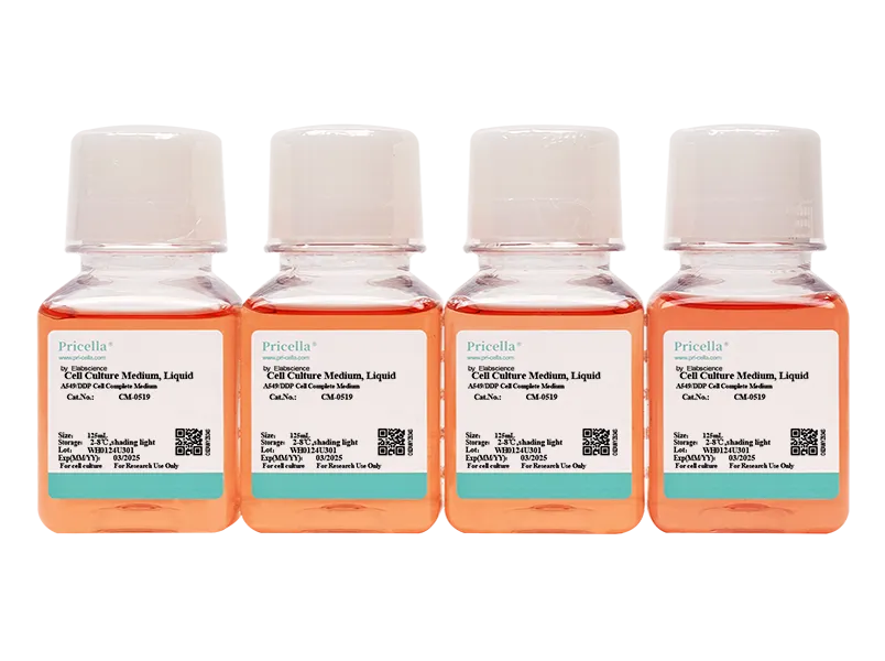 A549-DDP Cell Complete Medium-searchlist-1