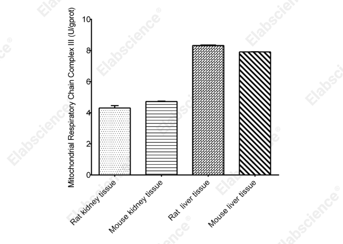 Mitochondrial Complex Ⅲ (Coenzyme  Q-Cytochrome C Reductase) Activity Assay Kit - 1