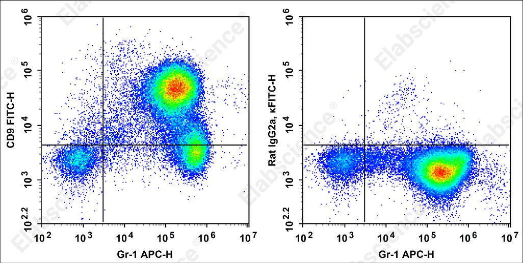 FITC Anti-Mouse CD9 Antibody[MZ3] - 1