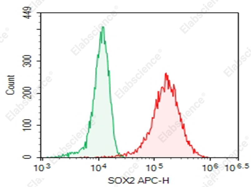 Purified Anti-Human SOX2 Antibody[O30-678] - 1