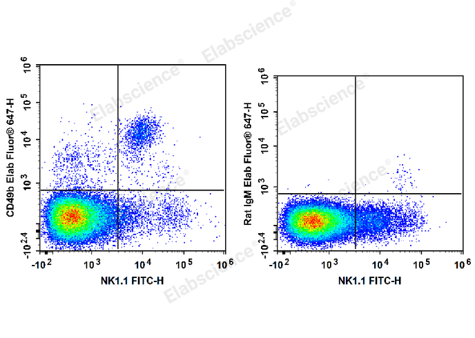 C57BL/6 murine splenocytes are stained with FITC Anti-Mouse CD161/NK1.1 Antibody and Elab Fluor® 647 Anti-Mouse CD49b Antibody (Left). Splenocytes are stained with FITC Anti-Mouse CD161/NK1.1 Antibody and Elab Fluor® 647 Rat IgM, κ Isotype Control (Right).