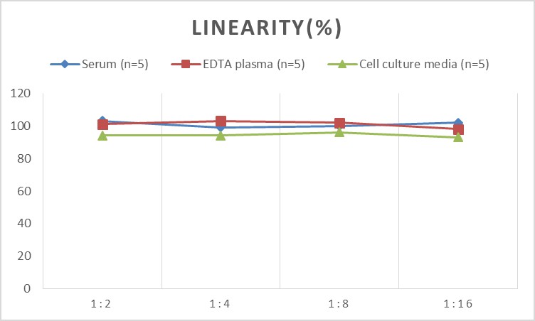 QuicKey Pro Rat ADP/Acrp30(Adiponectin) ELISA Kit-产品推荐-3