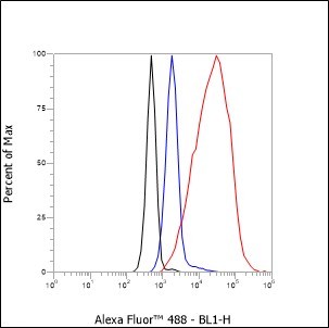 Recombinant Histone H3 (NT) Monoclonal Antibody - small - 6