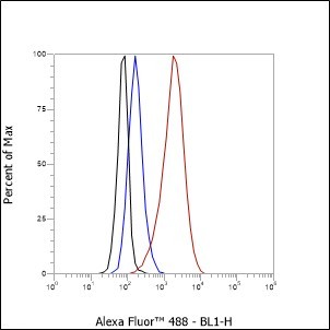 Recombinant SOX11 Monoclonal Antibody - small - 4