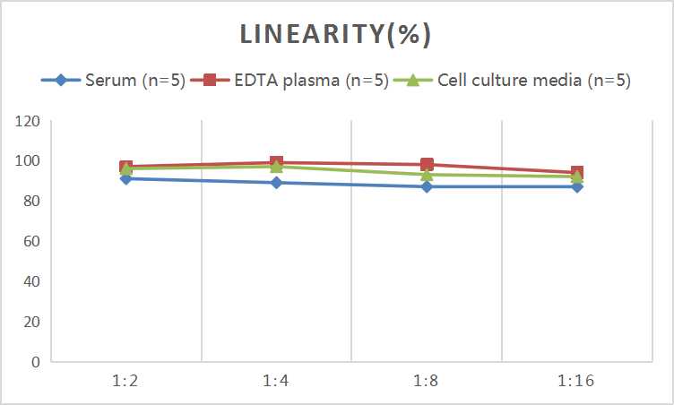 Mini Sample Human TIMP-1 (Tissue Inhibitors of Metalloproteinase 1) ELISA Kit - small - 2