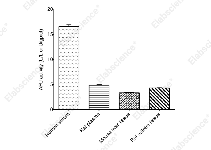 α-L-Fucosidase (AFU) Acitivity Assay Kit - 2