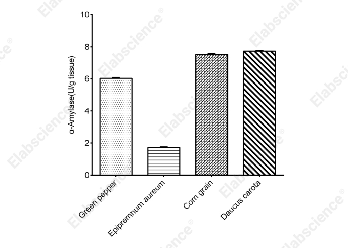 α-Amylase Activity Assay Kit - 2