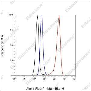 Recombinant ERG Monoclonal Antibody - 7