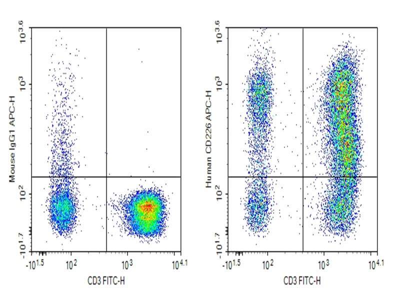 Purified Anti-Human CD226 Antibody[11A8] - 1