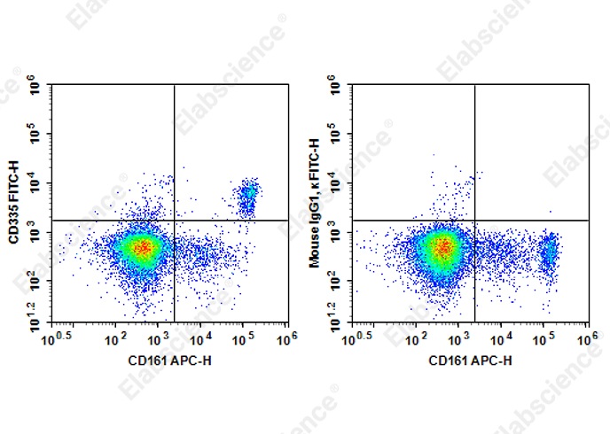 FITC Anti-Rat CD335 Antibody[WEN23]
