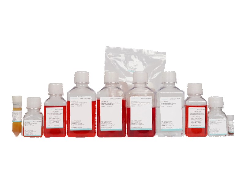 Mouse Hepatic Parenchymal Cell Isolation and Culture KitMouse Hepatic Parenchymal Cell Isolation and Culture Kit - 2