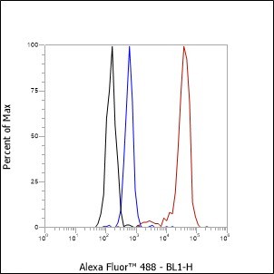 Recombinant Thyroglobulin Monoclonal Antibody - small - 3