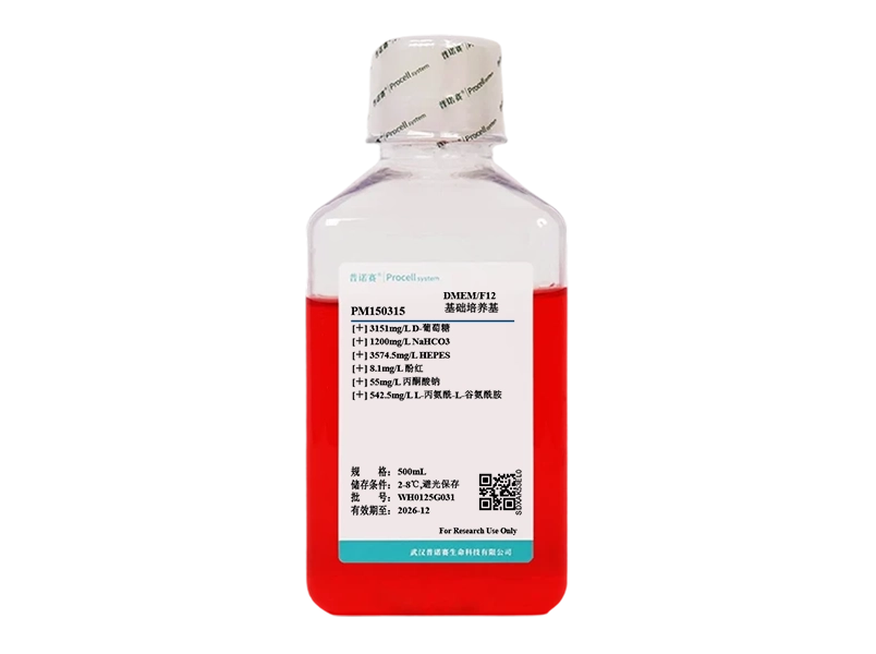 https://789.bio/ec/YZW9GnPk
