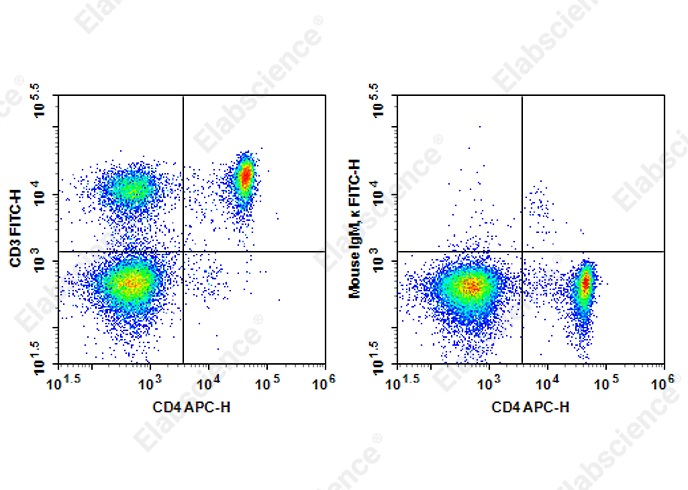 FITC Anti-Rat CD3 Antibody[1F4] - 1