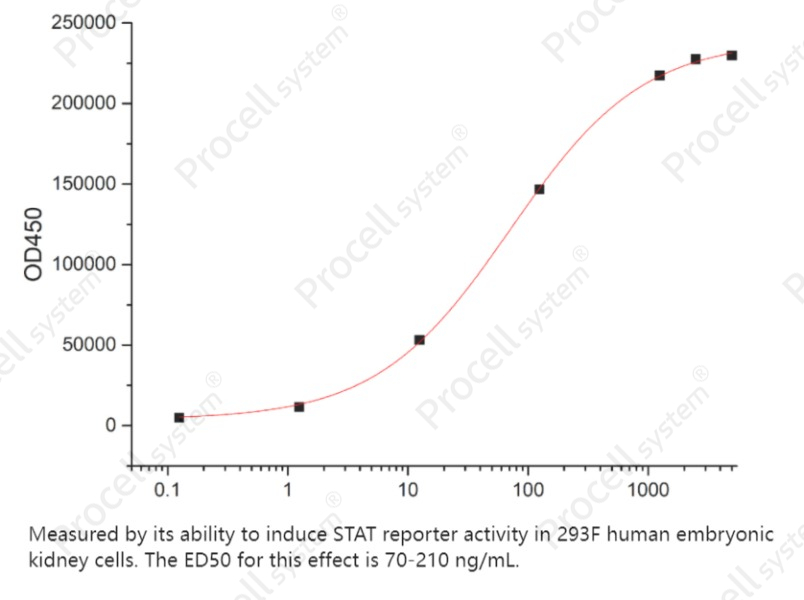 IL-23/NKSF2 (C-6His), Human, RecombinantIL-23/NKSF2 (C-6His), Human, Recombinant - 2