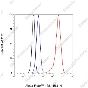 Recombinant alpha smooth muscle Actin Monoclonal Antibody - 9