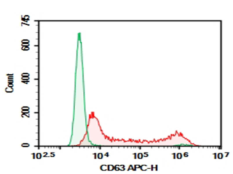 HEK293T cells transfected with pcDNA3.1 plasmid encoding Human CD63 gene were stained with 0.2 ug Purified Anti-Human CD63 Antibody[H5C6] (Right) and 0.2 ug Mouse IgG1, &kappa; Isotype Control (Left), followed by APC-conjugated Goat Anti-Mouse IgG Secondary Antibody.
