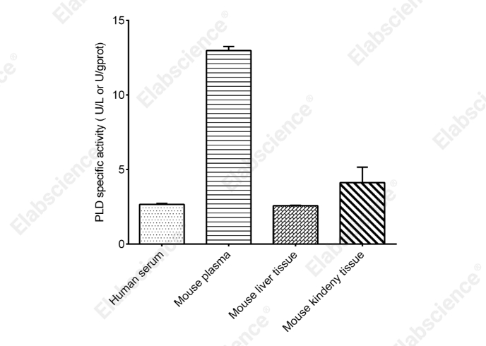 Phospholipase D (PLD) Activity Colorimetric Assay Kit - 2