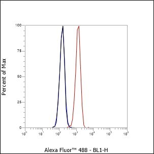 Recombinant S100A13 Monoclonal Antibody - small - 3