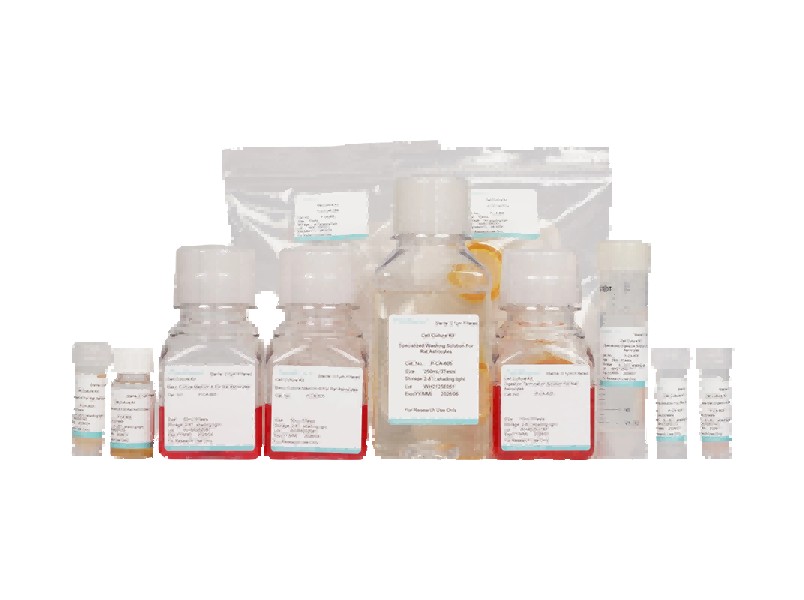 Rat Astrocyte Isolation and Culture Kit - 1