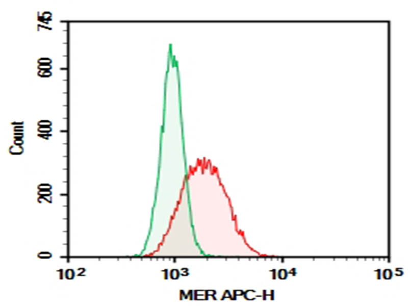 Purified Anti-Human MER Antibody[590H11G1E3]-searchlist-1