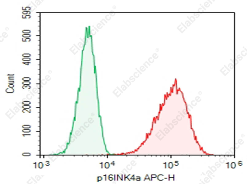 Purified Anti-Human p16INK4a Antibody[DA012] - 1