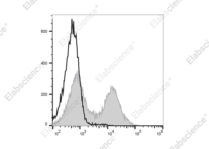 FITC Anti-Mouse CD38 Antibody[NIMR5]-1