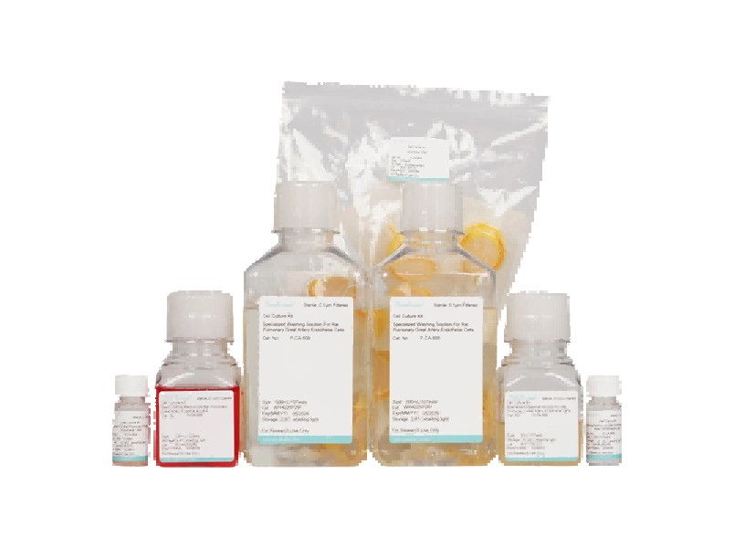 Rat Pulmonary Great Artery Endothelial Cell Isolation and Culture KitRat Pulmonary Great Artery Endothelial Cell Isolation and Culture Kit - 2