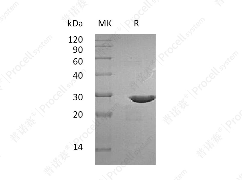 https://789.bio/ec/Z90l90