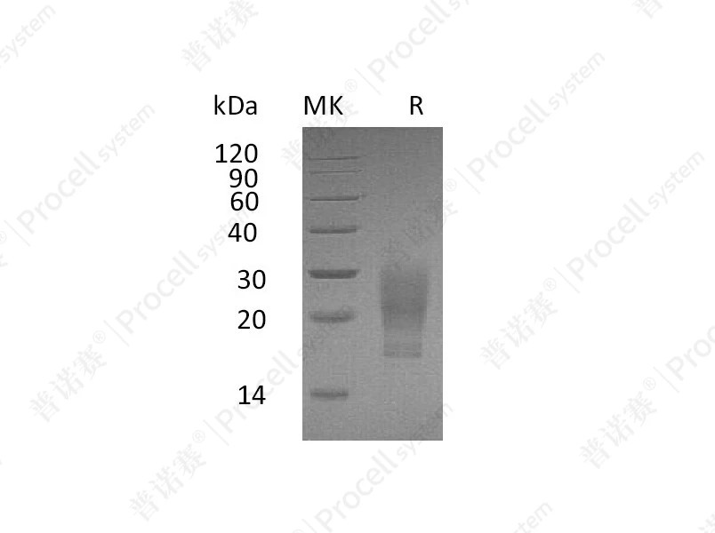 https://789.bio/ec/Z9Ol10