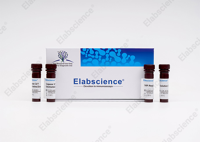 Caspase 3/7 and PI Double Staining Kit