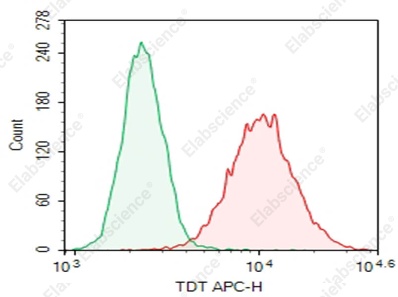 Purified Anti-Human TDT Antibody[41A]（AN011330P）-Elabscience伊莱瑞特
