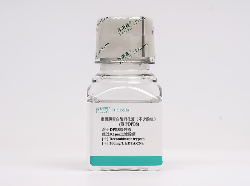 https://789.bio/ec/ZD4hLO
