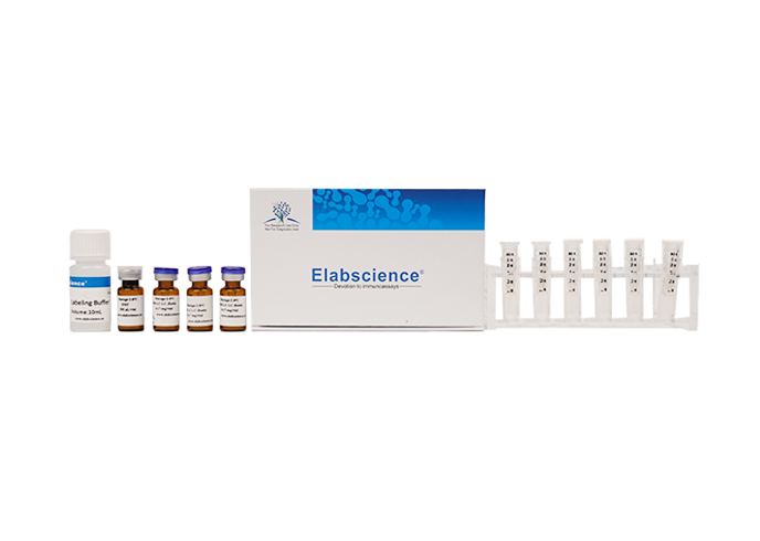 Elab Fluor® Violet 450 Labeling Kit